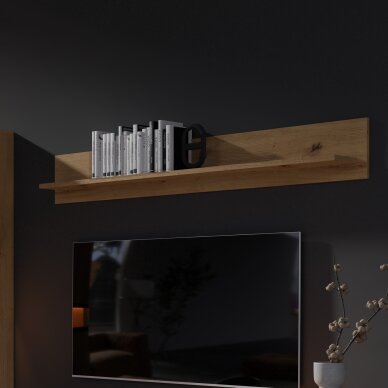 Lentyna Evolution EV6