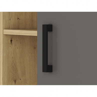 Lentyna FINI 03 4 Lentyna FINI 03 4