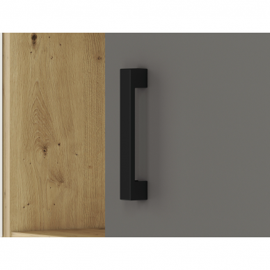 Lentyna FINI 05 4 Lentyna FINI 05 4