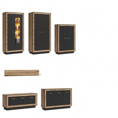 Lentyna Fox 6 3 Lentyna Fox 6 3