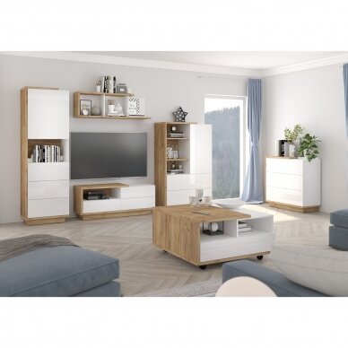 Lentyna Hybrid HUB-15 1