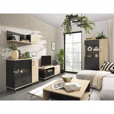 Lentyna Madison (MD12) 3 Lentyna Madison (MD12) 3