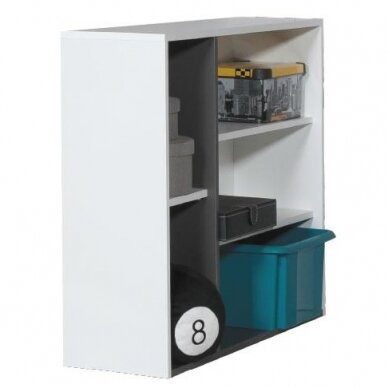 Lentyna MX12B Lentyna MX12B