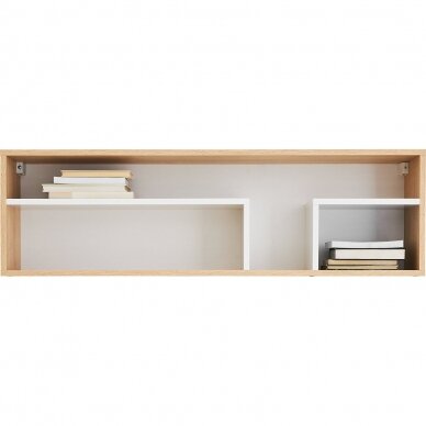 Lentyna Pixel (PX13) Lentyna Pixel (PX13)