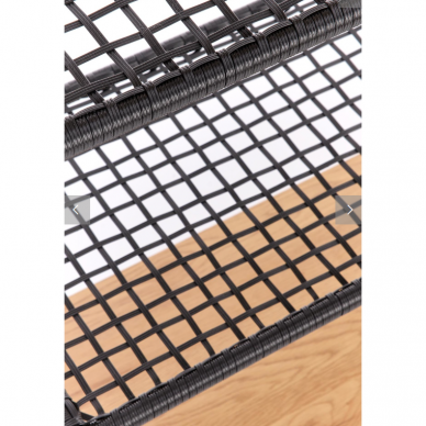 Lentyna REG-21 2 Lentyna REG-21 2