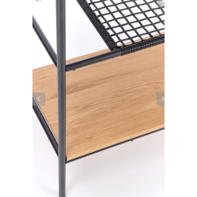 Lentyna REG-21 3 Lentyna REG-21 3