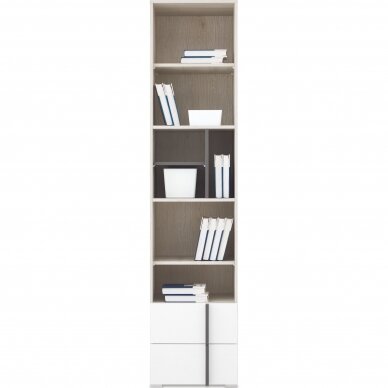 Lentyna Remo (RM5) Lentyna Remo (RM5)