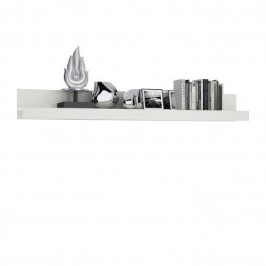 Lentyna ZX 21 Lentyna ZX 21