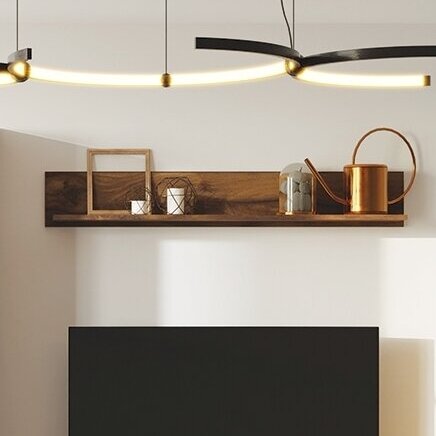 Lentyna Fox 6 Lentyna Fox 6