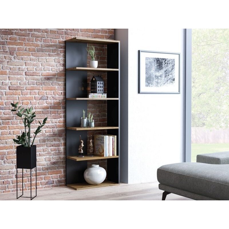 Lentyna Corn Lentyna Corn