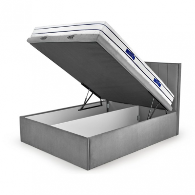 LOVA  ASENTO 160  SU PATALYNĖS DĖŽE 2