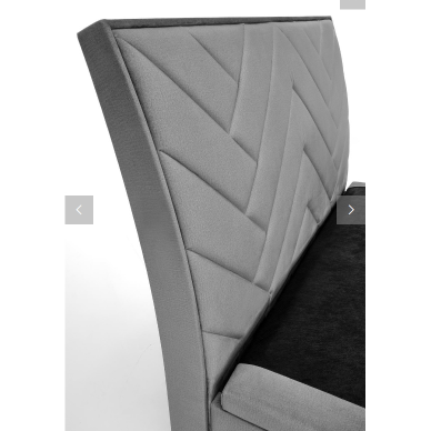 LOVA  CONTINENTAL 1 160  SU PATALYNĖS DĖŽE 9