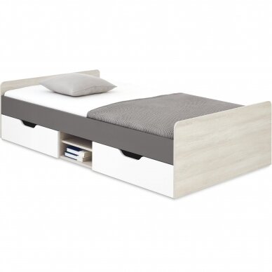 Lova Remo (RM16 L/P) Lova Remo (RM16 L/P)