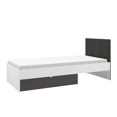 LOVA  TORINO 11 LOVA  TORINO 11