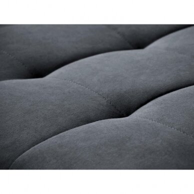 Minkšta kampas Avietė L 5 Minkšta kampas Avietė L 5