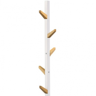 Pakaba W66 4 Pakaba W66 4