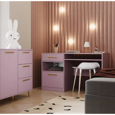 Rašomasis stalas Bola 1 Rašomasis stalas Bola 1