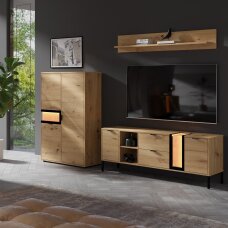 Sekcija Evolution B