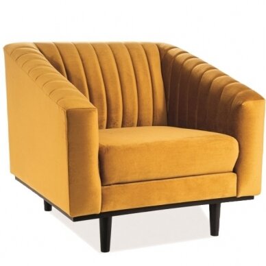 Fotelis SAS 1 4 Fotelis SAS 1 4