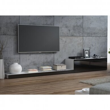 RTV Life 2 RTV Life 2