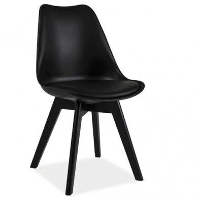 Kėdė SKR II 2 Kėdė SKR II 2