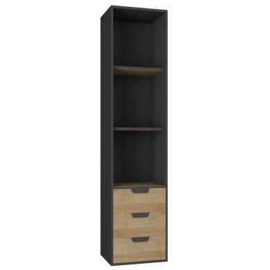 Lentyna MT6 1