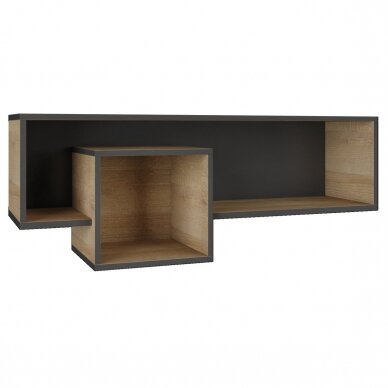 Lentyna MT12 1 Lentyna MT12 1