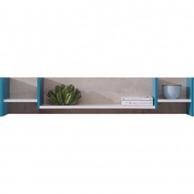 Lentyna MW13 1 Lentyna MW13 1