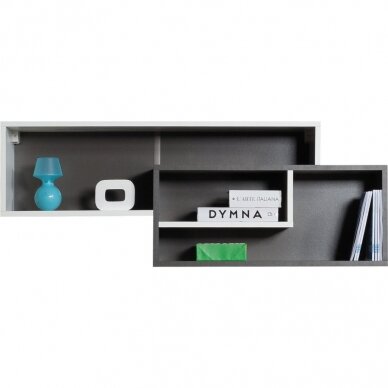Lentyna MX10 1
