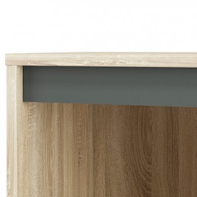 Lentyna AVO 08 15 Lentyna AVO 08 15