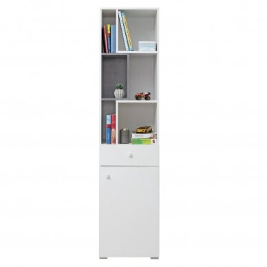 Lentyna MSI8 1