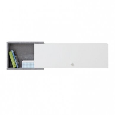 Lentyna MSI13 1