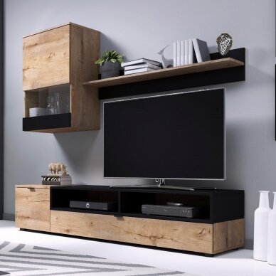 Sekcija SNAP 1 Sekcija SNAP 1