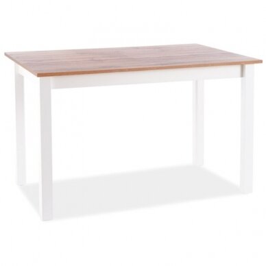 Stalas HORA 100 6 Stalas HORA 100 6