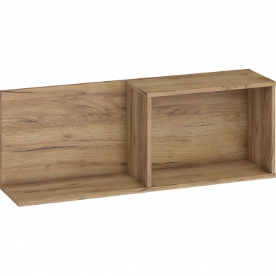 Lentyna Lars LAR-04 3