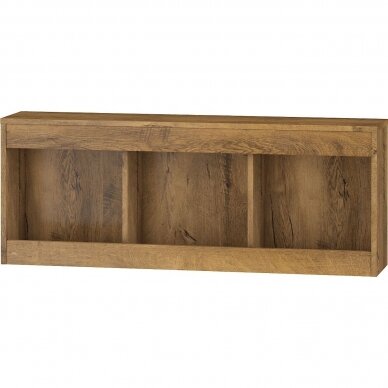 Lentyna Maximus MXS-20 2 Lentyna Maximus MXS-20 2