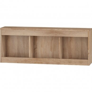 Lentyna Maximus MXS-20 5