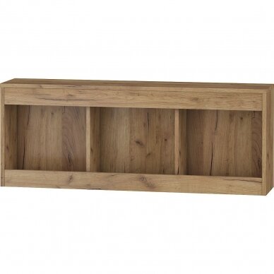 Lentyna Maximus MXS-20 3 Lentyna Maximus MXS-20 3