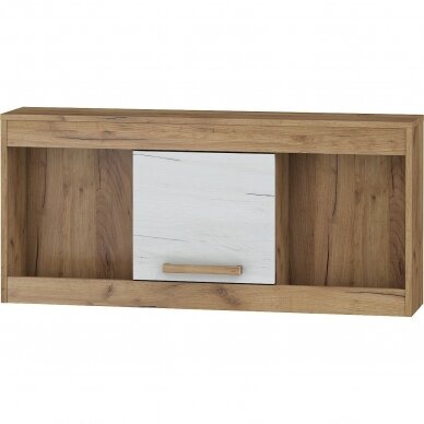 Lentyna Maximus MXS-21 3