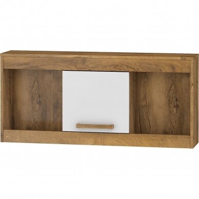 Lentyna Maximus MXS-21 2 Lentyna Maximus MXS-21 2