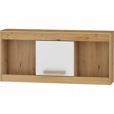 Lentyna Maximus MXS-21 1 Lentyna Maximus MXS-21 1