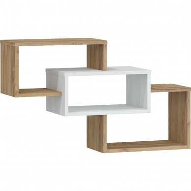 Lentyna RIO-17 4 Lentyna RIO-17 4