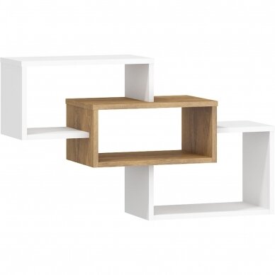 Lentyna RIO-17 3 Lentyna RIO-17 3