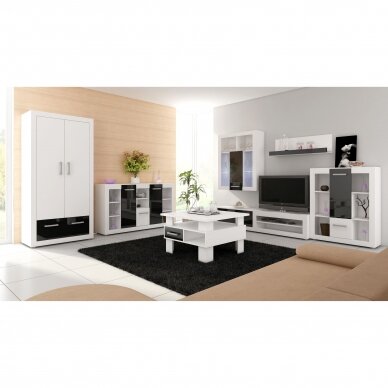 Lentyna Viki VIK-02 2