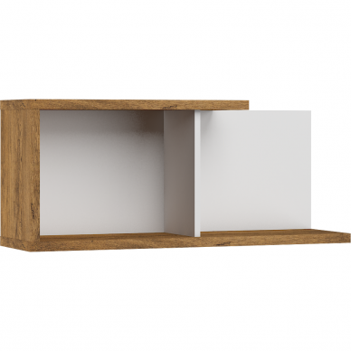 Lentyna Hybrid HUB-14 3 Lentyna Hybrid HUB-14 3