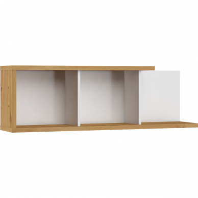 Lentyna Hybrid HUB-15 2