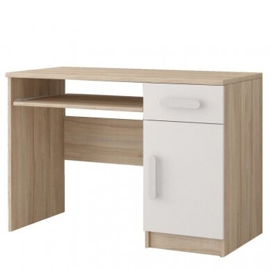 Darbo stalas 08 SM III 11 Darbo stalas 08 SM III 11