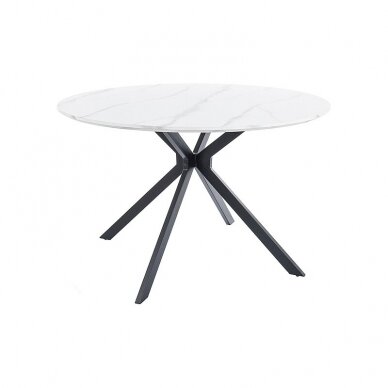 Stalas Aster 120 7 Stalas Aster 120 7