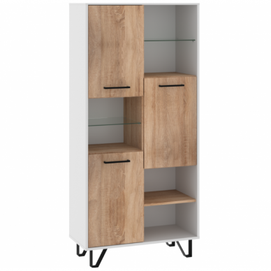 Lentyna BOSS-11 7 Lentyna BOSS-11 7