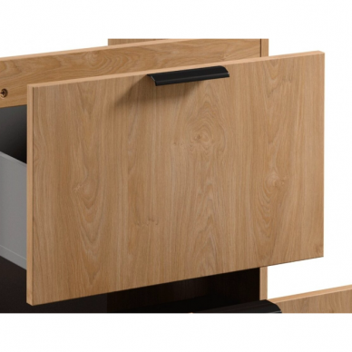 Virtuvinė spintelė indukcinei viryklei Sorento [B D60IN] 7